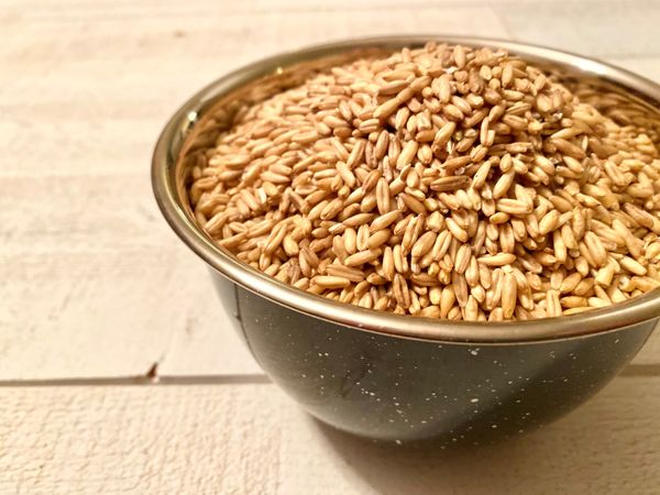PREMIUM PLUS & PREMIUM OAT GROATS from 캐나다 supplied by Buffalo Creek Mills - Groat 귀리