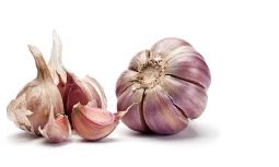 Fresh Garlic from Spain supplied by INDO-IBERICA PTD LTD - Whole Fresh Garlic