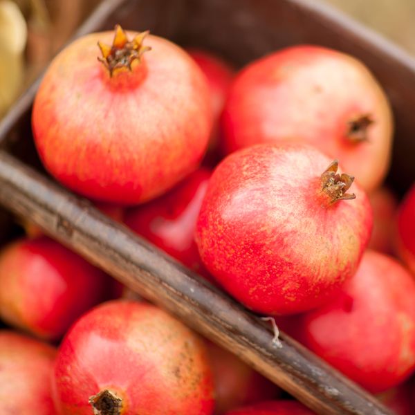 Pomegranate from 남아프리카공화국 supplied by Ganico Organic Estate - Arils (=Seeds) 신선 석류