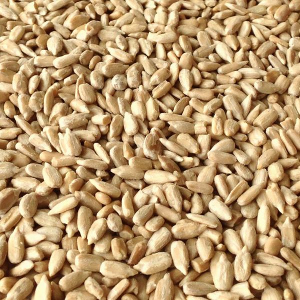 Ядро подсолнечника from 러시아 supplied by LLC Agropetro - Lakomka 해바라기 씨