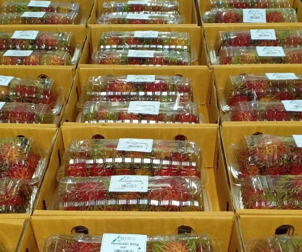 Rambutan from 태국 supplied by Blue Jay Oriental Foods Thailand Ltd - Large 신선 람부탄