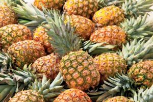 Pineapple from Mexico supplied by DEFRUT, S.A. DE C.V. - Dried (=Dehydrated) Fresh Pineapple