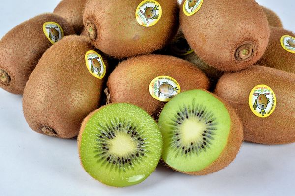 Fresh Kiwi from 이탈리아 supplied by Ceradini Group - Whole 신선 키위