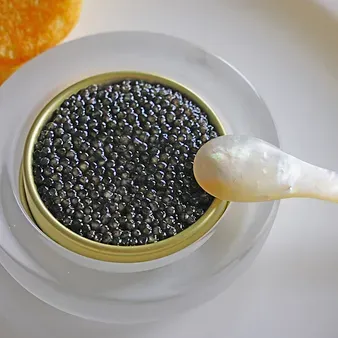 Caviar from United Kingdom supplied by The Steak Shop Limited - Fresh (=Chilled=Raw) Caviar