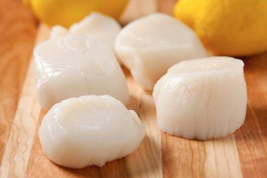Scallops from Peru supplied by Chesapeake Bay Packing, LLC - Frozen - IQF Frozen Scallop