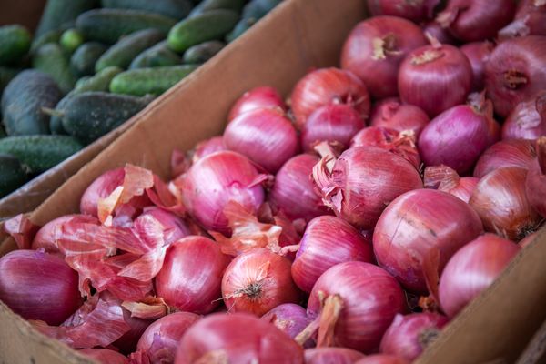 Onions from India supplied by Amwill Inc - Farm Fresh Onion