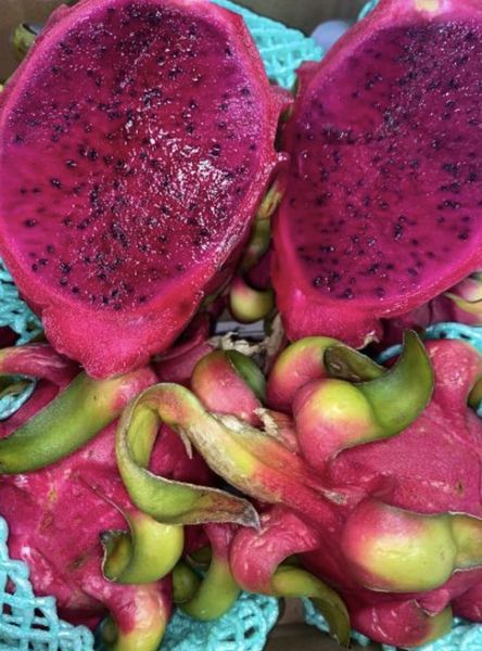 Fresh Dragon Fruit from United States supplied by Pueblo Fruits Inc - Red Flesh Fresh Dragon Fruit