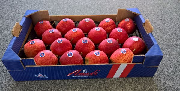 Fresh Apple from 오스트리아 supplied by Amade Fruits GmbH - Tessa (=Fengapi) 신선 사과