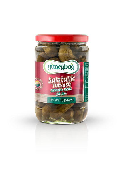 720 cc Cucumber Pickle from 튀르키예 supplied by GUNEYLILER GIDA SAN.TIC.LTD.STI. - GUNEYBAG - Cut 신선 오이