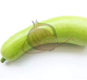 Indian Bottle Gourd from 인도 supplied by Fivestar Dehydration Pvt. Ltd. - Whole 호리병박