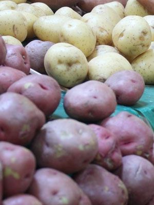 Potatoes from 파키스탄 supplied by Freshstart Trading - Dried (=Dehydrated) 신선 일반 감자