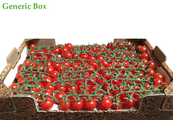 Tomato from 독일 supplied by BIOFRUIT TRADING - Light Red - Red 신선 토마토