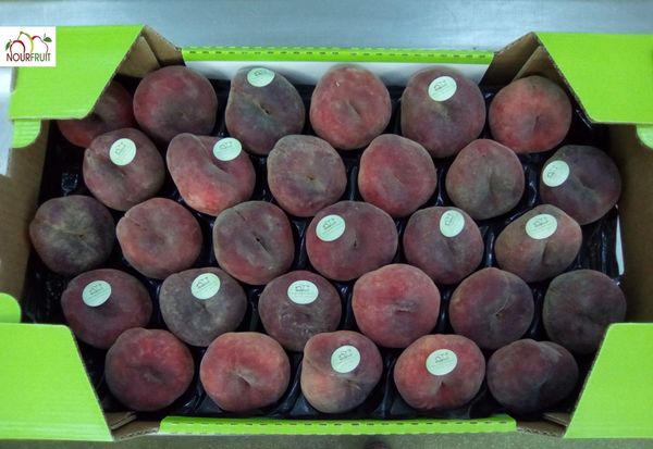 Peach from 튀니지 supplied by Nour Fruit - Whole 신선 복숭아