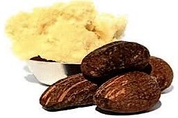Shea Nuts & Butter from Nigeria supplied by Albasitco Nigeria Limited - Ivory Shea Butter