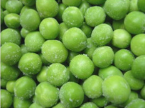 Frozen Green Peas from China supplied by CHINA DATANG INDUSTRY INT'L CO.,LTD. - Green Fresh Common Pea