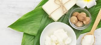 Shea butter from 캐나다 supplied by Zola Superfoods - Organic 시어 버터