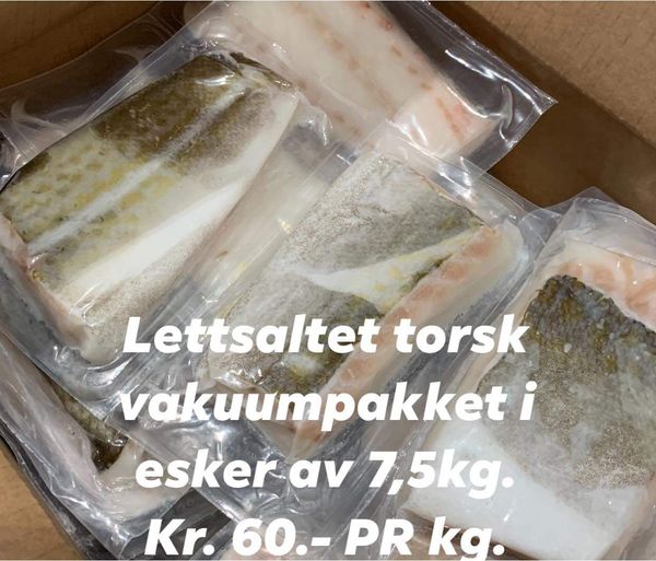 Fresh Saithe from Norway supplied by Primex Norway AS - Vacuum Packed (=VAC) Coalfish