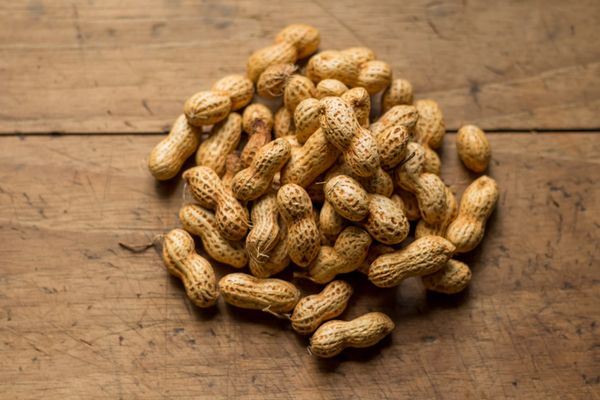 Groundnuts from 인도 supplied by Amwill Inc - 밭 땅콩 알맹이