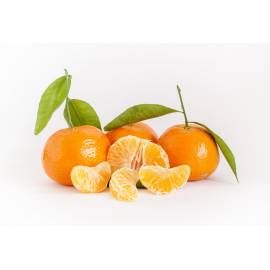 Fresh Tangerine from Spain supplied by ORANGES ONLINE - NARANJAS QUIQUE - Sweet Fresh Mandarin