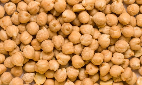 Chickpeas from Ukraine supplied by GFK COMPANY - Kabuli Dried Chickpea