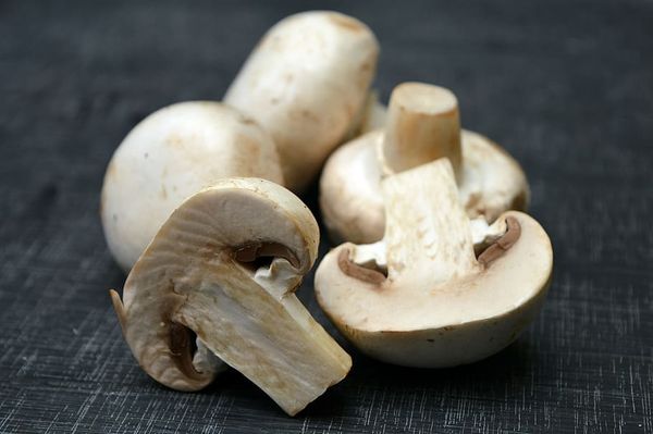 Mushroom from 폴란드 supplied by Uprawa Pieczarek mgr inż. Antoni Lenda - Crates & Bins 기타 신선 버섯류