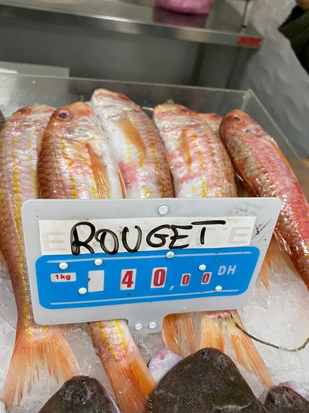 Rouget from Portugal supplied by Mofarpeixe, Lda. - Red Mullet (=Striped Goatfish=Mullus barbatus) Frozen Mullet