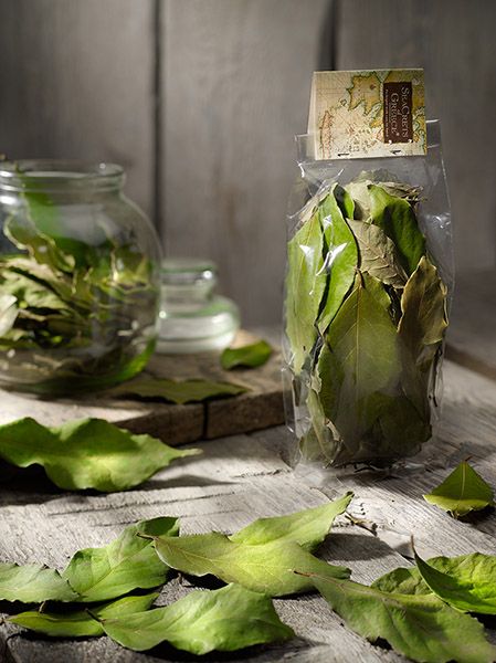 Bay Leaves from 그리스 supplied by LEMONIA - Leaf 월계수 잎