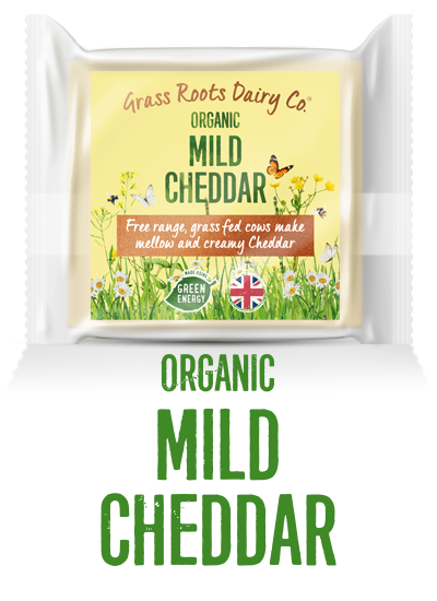 Organic Mild Cheddar Cheese from 영국 supplied by OMSCo Ltd - Organic 체다 치즈