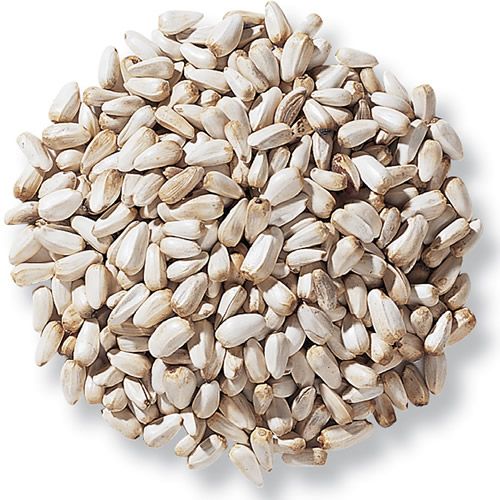 Safflower Seed from 키르기스스탄 supplied by Atalyk Group - Dried 잇꽃 씨