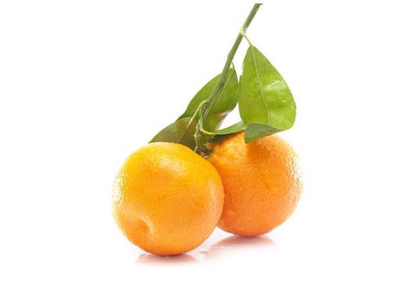 Mandarin from 남아프리카공화국 supplied by ALG Estates (Pty) Ltd - Clemenorr (=Orri) 신선 클레멘타인
