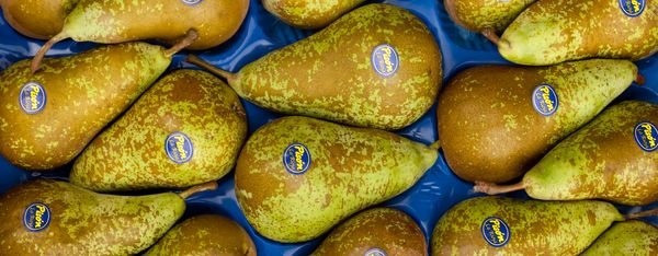 Fresh Pear from Spain supplied by Frutas Pisón - Green Fresh Pear