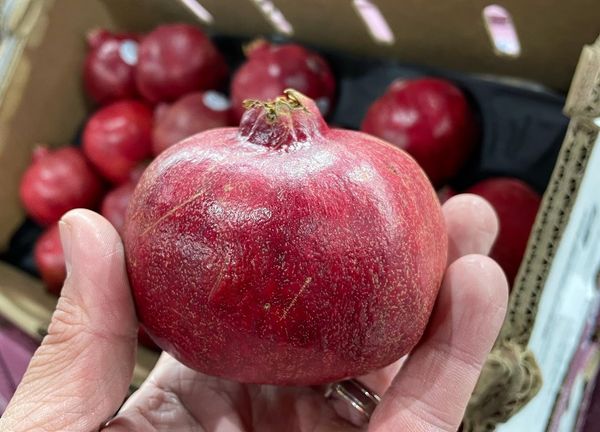 Pomegranate from 호주 supplied by Fresh Produce Group - Whole 신선 석류