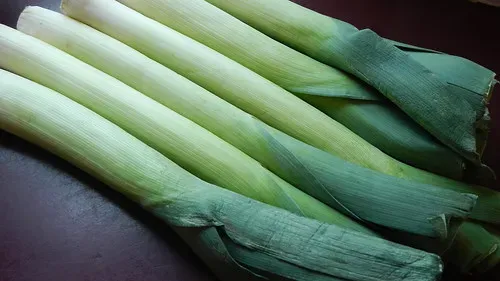 Leek from Turkiye supplied by Nilufer Gida - Green Leek