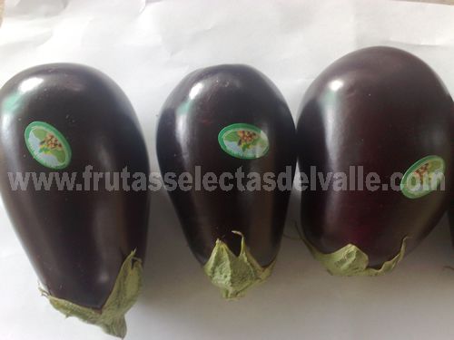 Eggplant from 콜롬비아 supplied by Frutas Selectas del Valle - Purple (=Violet) 가지