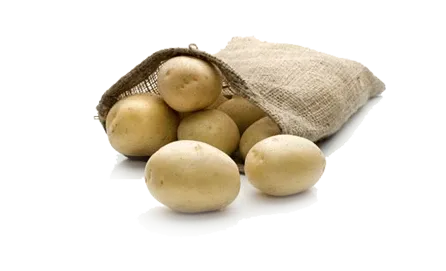 LAPERLA- Potato from 폴란드 supplied by Solana Polska sp z o. o. - 갈색 신선 일반 감자