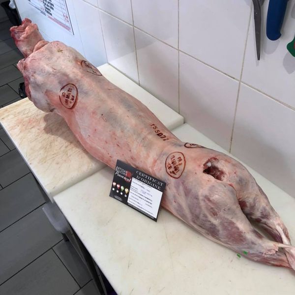 fresh lamb from 프랑스 supplied by ALAZARD ET ROUX S.A.S. - Sliced 양고기