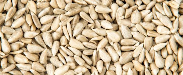 In Shell Sunflower Seed from 미국 supplied by Crown Products Inc. - Unhulled 해바라기 씨
