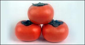 Persimmons from 파키스탄 supplied by Arif Fresh Fruit Company - Whole 신선 감