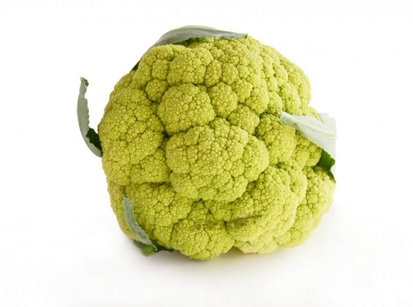 Cauliflower from Netherlands supplied by Boekel Handel BV - Green Fresh Cauliflower