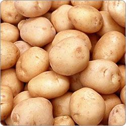Potato from Singapore supplied by Ponna Trading Private Limited - Fresh Common Potato