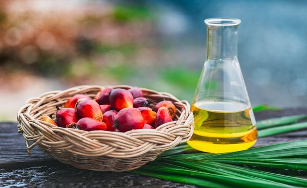 RBD Palm Kernel Oil from 말레이시아 supplied by Timur Oleochemicals Malaysia - RBD (=Refined, Bleached, and Deodorized) 팜 커넬 오일