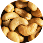 Cashew from United Arab Emirates supplied by Omega Spices Trading Co. - Cannellini (=White Kidney Beans=Fazolia) Cashew Nut Kernel