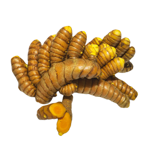 Turmeric from 페루 supplied by Elisur Organic S.A.C. - Unspecified 튜메릭