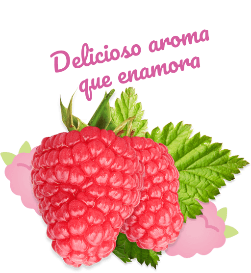 Fresh Whole Raspberry from 네덜란드 supplied by Freshkampo by Euromeridian B.V. - Conventional 신선 라즈베리