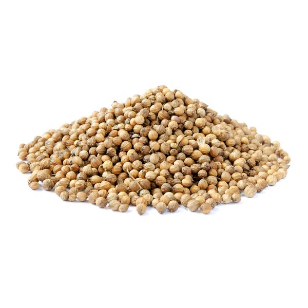 Coriander Seed from 이집트 supplied by Agricola international - Steam 고수 씨(홀)