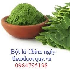 Moringa Nutrition Powder from 베트남 supplied by Everlife Herbal Tea Joint Stock Company - Powder 모링가