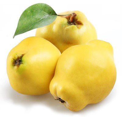 Quince from Turkiye supplied by Lider Gida - Ekmek Quince