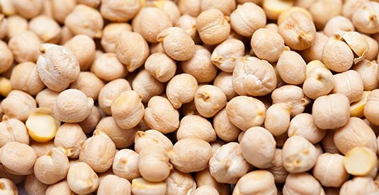 Chickpea from 싱가포르 supplied by Robust International Group - Whole 말린 병아리콩