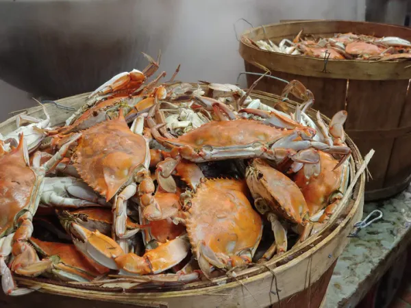 Steamed Crab from 미국 supplied by Graham and Rollins, Incorporated - 반조리 냉동 게