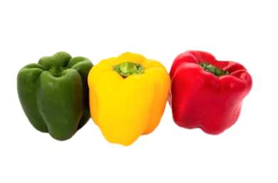 Fresh Bell Pepper from 스페인 supplied by Agromontes Fresh Group SL - Whole 신선 피망